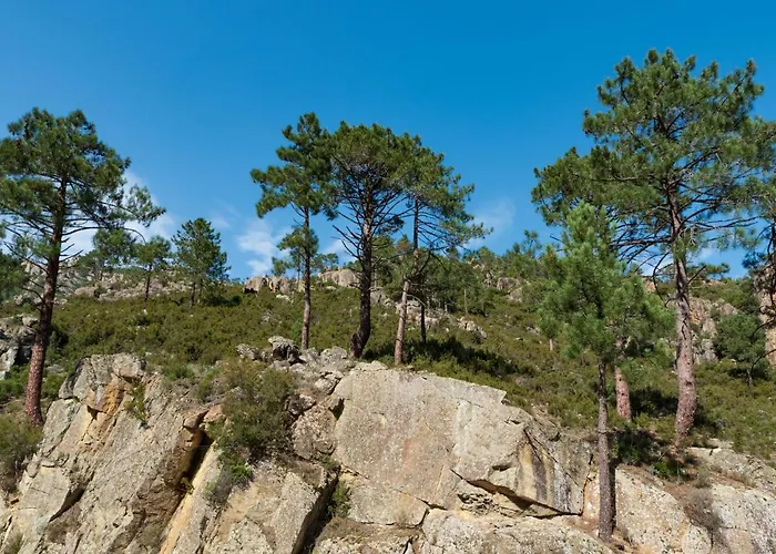 Padova T2 Sup By Interhome