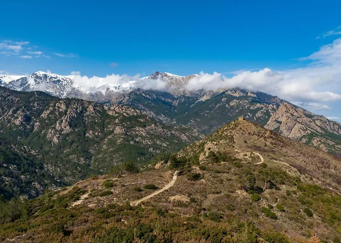 Padova T2 Sup By Interhome *